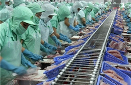 Mỹ lại áp thuế cao với cá tra, basa Việt Nam 
